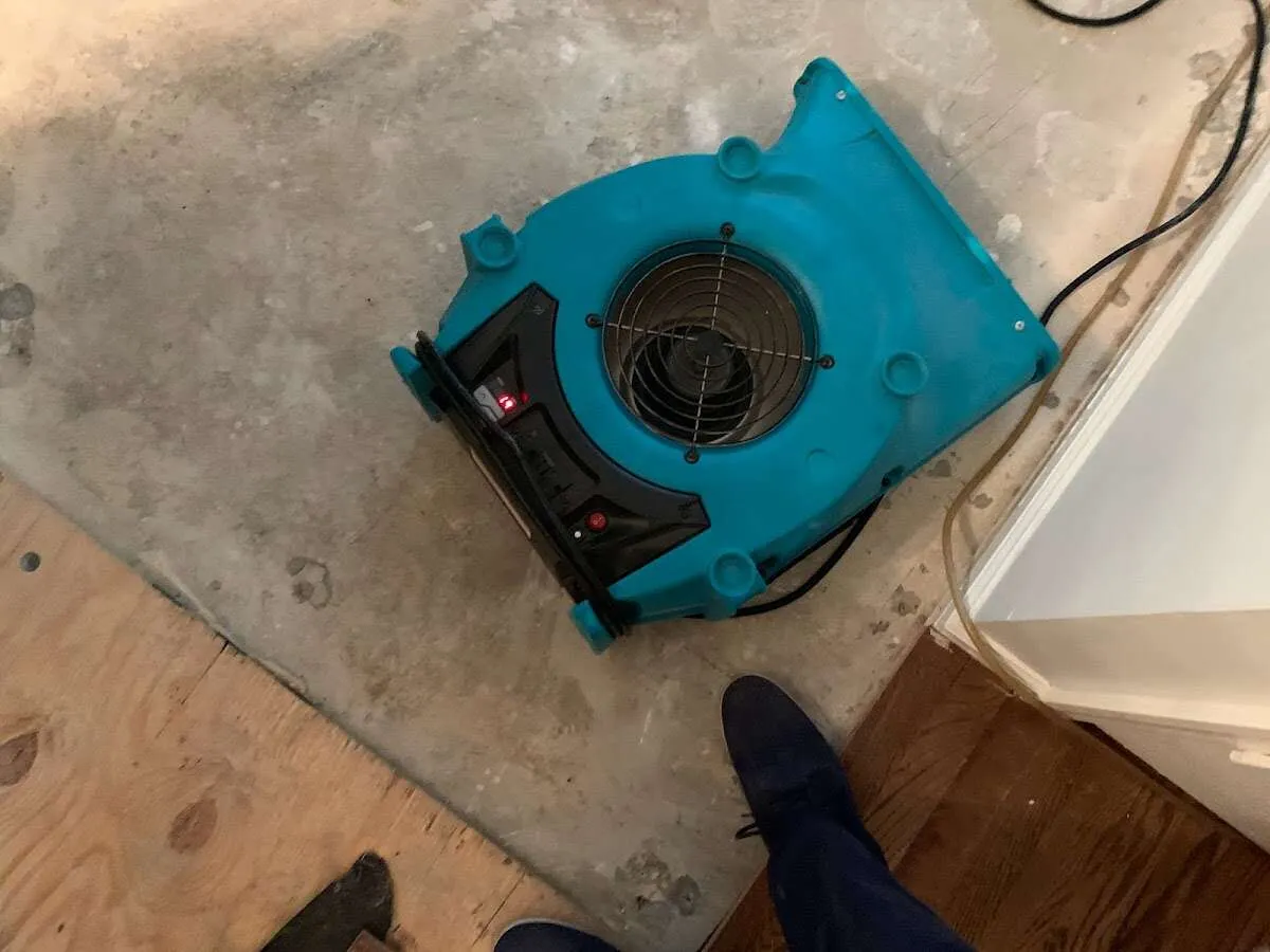 Air mover drying subfloor during Leak Detection & Repair in Wellington